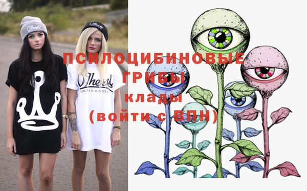 PSILOCYBIN Алексеевка