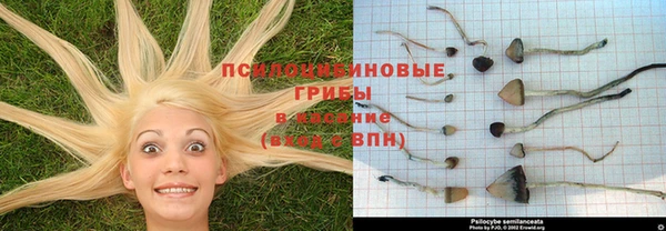 прущая мука Алзамай