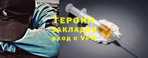 хмурый Алексин