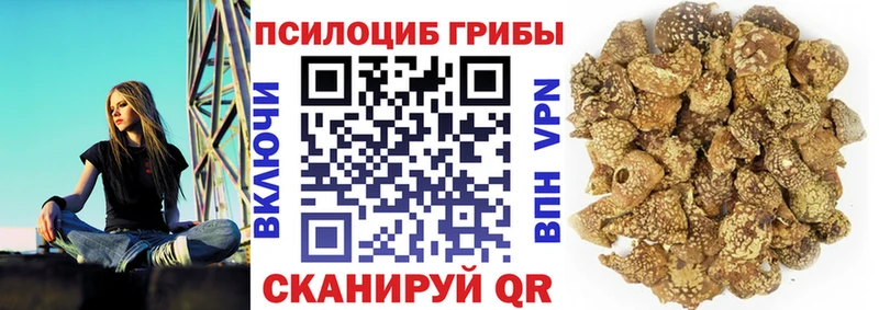 блэк спрут ONION  Заводоуковск  Галлюциногенные грибы GOLDEN TEACHER 