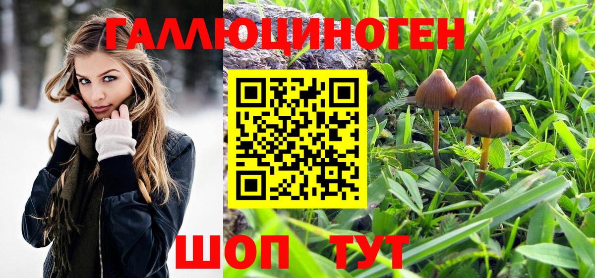Псилоцибиновые грибы MAGIC MUSHROOMS Заводоуковск