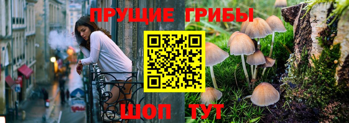 Псилоцибиновые грибы прущие грибы  Вход с VPN  что такое наркотик  Заводоуковск 