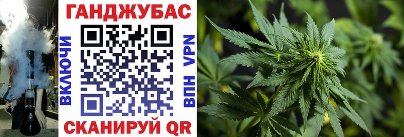 купить  сайты  Заводоуковск  МЕГА как войти  Конопля White Widow 